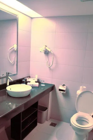 Batam View Deluxe Room (Bathroom)