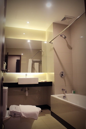 Biz Hotel Deluxe Room (Bathroom)