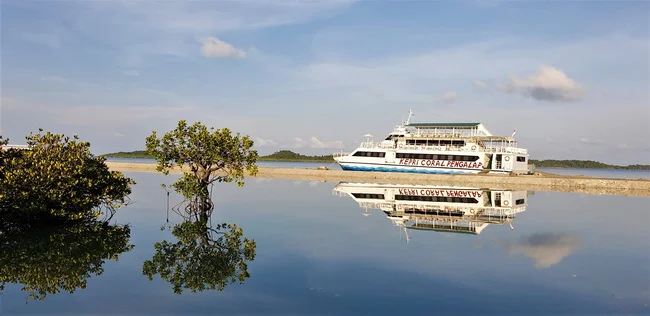 Kepri Coral Island