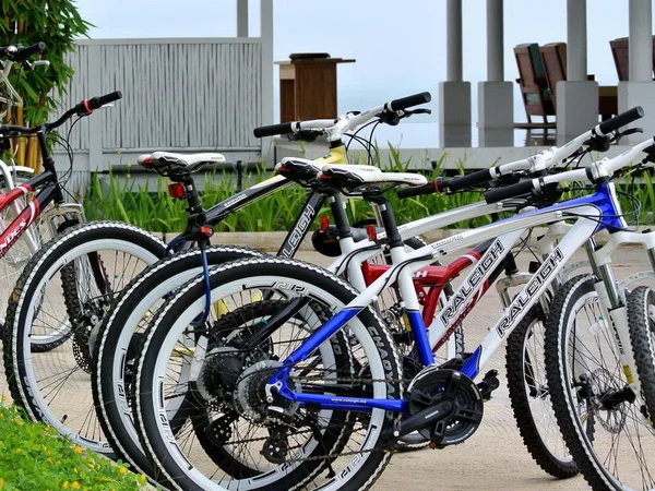 montigo resort (bike rental) 