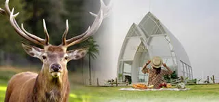 One Day Batam Tour + Visit Deer Park