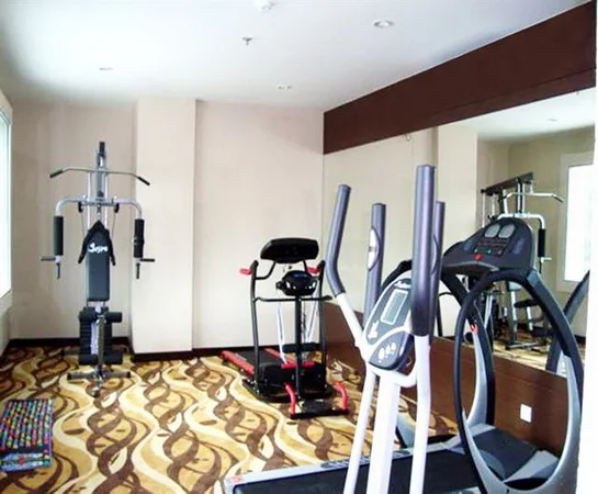 Swiss Inn Fitness Room