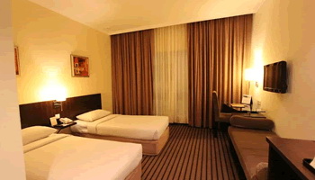 Superior Room (Twin Bed)