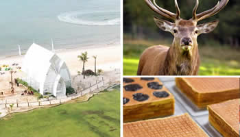 One Day Batam Tour + Visit Deer Park